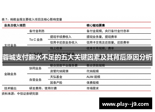 蓉城支付薪水不足的五大关键因素及其背后原因分析 蓉城支付薪水不足的五大关键因素及其背后原因分析