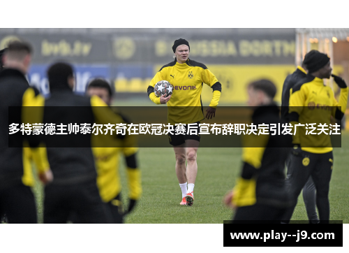 多特蒙德主帅泰尔齐奇在欧冠决赛后宣布辞职决定引发广泛关注