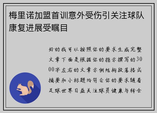 梅里诺加盟首训意外受伤引关注球队康复进展受瞩目